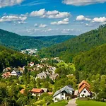 Διαμέρισμα Design Black Forest Retreat *