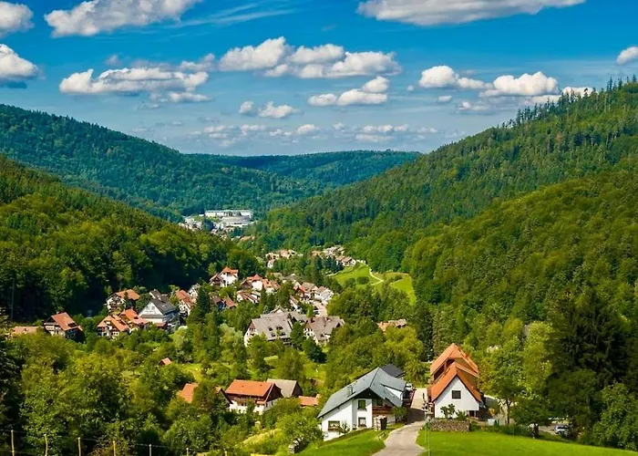 Black Forest Retreat Daire Bad Herrenalb